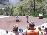 P4170240.JPG - 2005:04:17 13:50:08