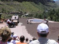 P4170245.JPG - 2005:04:17 13:51:15