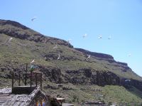 P4170250.JPG - 2005:04:17 13:52:52