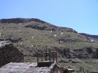 P4170251.JPG - 2005:04:17 13:52:53