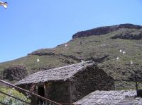 P4170252.JPG - 2005:04:17 13:52:53