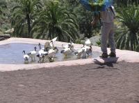 P4170259.JPG - 2005:04:17 13:53:07