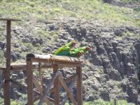 P4170260.JPG - 2005:04:17 13:53:16