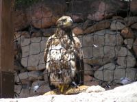 P4170262.JPG - 2005:04:17 13:59:03