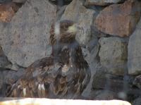 P4170265.JPG - 2005:04:17 13:59:18