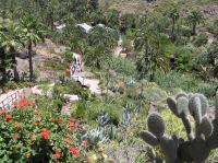 P4170278.JPG - 2005:04:17 14:07:12