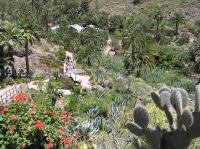 P4170279.JPG - 2005:04:17 14:07:13