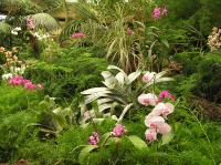 P4170280.JPG - 2005:04:17 14:11:33