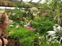 P4170281.JPG - 2005:04:17 14:11:36