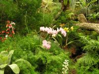 P4170282.JPG - 2005:04:17 14:11:53