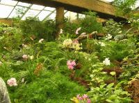 P4170287.JPG - 2005:04:17 14:13:19