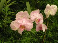 P4170288.JPG - 2005:04:17 14:13:35