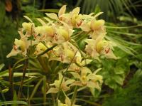 P4170289.JPG - 2005:04:17 14:13:42