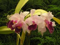 P4170290.JPG - 2005:04:17 14:13:51