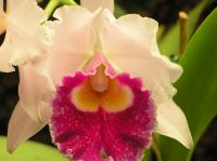 P4170292.JPG - 2005:04:17 14:14:22