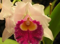 P4170293.JPG - 2005:04:17 14:14:24