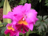 P4170294.JPG - 2005:04:17 14:14:42