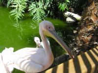 P4170295.JPG - 2005:04:17 14:17:49