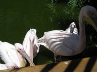 P4170296.JPG - 2005:04:17 14:17:52