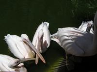 P4170297.JPG - 2005:04:17 14:17:54