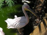 P4170298.JPG - 2005:04:17 14:18:00