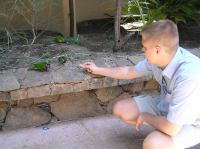 P4170300.JPG - 2005:04:17 14:22:03