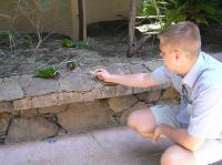 P4170301.JPG - 2005:04:17 14:22:04