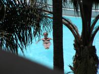 P4180336.JPG - 2005:04:18 14:05:43