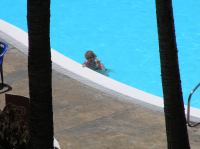 P4180345.JPG - 2005:04:18 14:06:32