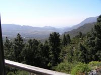 P4190363.JPG - 2005:04:19 10:37:14