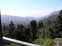 P4190364.JPG - 2005:04:19 10:37:15