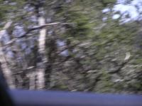 P4190368.JPG - 2005:04:19 11:29:36