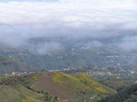 P4190372.JPG - 2005:04:19 11:33:25