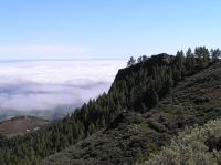 P4190374.JPG - 2005:04:19 11:34:11