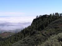 P4190375.JPG - 2005:04:19 11:34:12