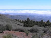 P4190376.JPG - 2005:04:19 11:54:58