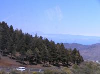 P4190379.JPG - 2005:04:19 12:01:36