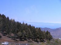 P4190380.JPG - 2005:04:19 12:01:36