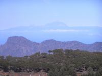 P4190381.JPG - 2005:04:19 12:02:35