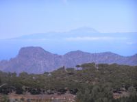 P4190382.JPG - 2005:04:19 12:02:36