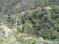 P4190406.JPG - 2005:04:19 14:05:57