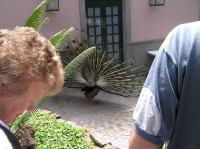 P4190428.JPG - 2005:04:19 15:29:34