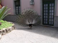 P4190430.JPG - 2005:04:19 15:29:50