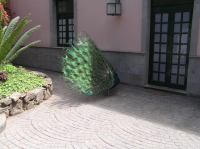 P4190431.JPG - 2005:04:19 15:29:57