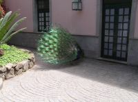 P4190433.JPG - 2005:04:19 15:29:58