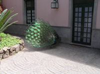 P4190434.JPG - 2005:04:19 15:29:59