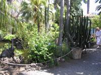 P4190447.JPG - 2005:04:19 15:46:10