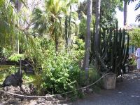 P4190448.JPG - 2005:04:19 15:46:10