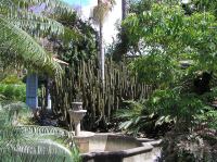 P4190452.JPG - 2005:04:19 15:47:31