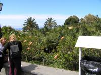 P4190460.JPG - 2005:04:19 16:02:27